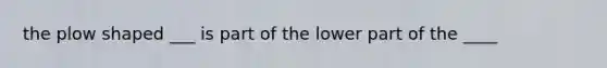 the plow shaped ___ is part of the lower part of the ____