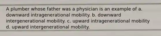 A plumber whose father was a physician is an example of a. downward intragenerational mobility. b. downward intergenerational mobility. c. upward intragenerational mobility d. upward intergenerational mobility.