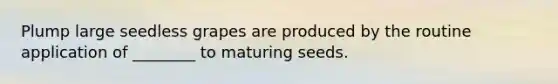Plump large seedless grapes are produced by the routine application of ________ to maturing seeds.