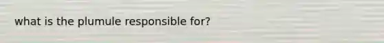 what is the plumule responsible for?