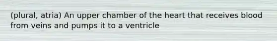 (plural, atria) An upper chamber of the heart that receives blood from veins and pumps it to a ventricle