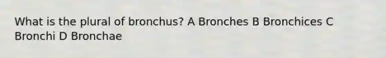 What is the plural of bronchus? A Bronches B Bronchices C Bronchi D Bronchae