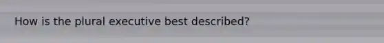 How is the plural executive best described?