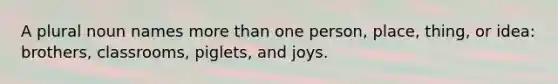 A plural noun names more than one person, place, thing, or idea: brothers, classrooms, piglets, and joys.