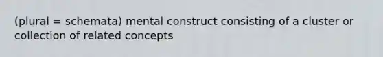 (plural = schemata) mental construct consisting of a cluster or collection of related concepts