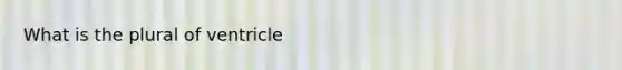 What is the plural of ventricle