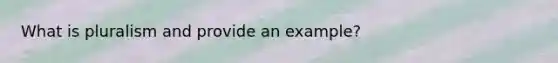 What is pluralism and provide an example?