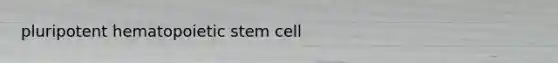 pluripotent hematopoietic stem cell