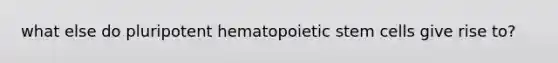 what else do pluripotent hematopoietic stem cells give rise to?