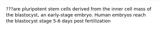 ???are pluripotent stem cells derived from the inner cell mass of the blastocyst, an early-stage embryo. Human embryos reach the blastocyst stage 5-6 days post fertilization