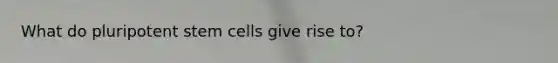 What do pluripotent stem cells give rise to?