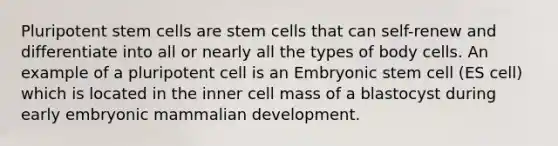 Pluripotent stem cells are stem cells that can self-renew and differentiate into all or nearly all the types of body cells. An example of a pluripotent cell is an Embryonic stem cell (ES cell) which is located in the inner cell mass of a blastocyst during early embryonic mammalian development.