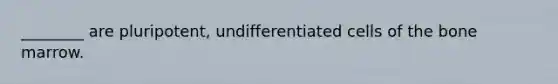 ________ are pluripotent, undifferentiated cells of the bone marrow.