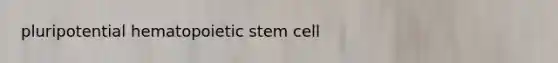 pluripotential hematopoietic stem cell