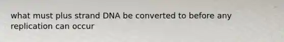 what must plus strand DNA be converted to before any replication can occur