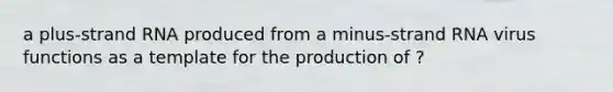a plus-strand RNA produced from a minus-strand RNA virus functions as a template for the production of ?
