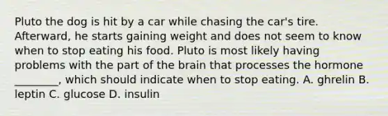 Pluto the dog is hit by a car while chasing the car's tire. Afterward, he starts gaining weight and does not seem to know when to stop eating his food. Pluto is most likely having problems with the part of <a href='https://www.questionai.com/knowledge/kLMtJeqKp6-the-brain' class='anchor-knowledge'>the brain</a> that processes the hormone ________, which should indicate when to stop eating. A. ghrelin B. leptin C. glucose D. insulin