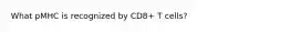 What pMHC is recognized by CD8+ T cells?