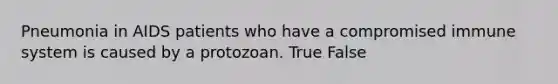 Pneumonia in AIDS patients who have a compromised immune system is caused by a protozoan. True False