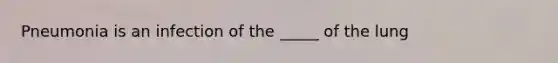 Pneumonia is an infection of the _____ of the lung
