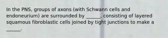 In the PNS, groups of axons (with Schwann cells and endoneurium) are surrounded by ______, consisting of layered squamous fibroblastic cells joined by tight junctions to make a ______.