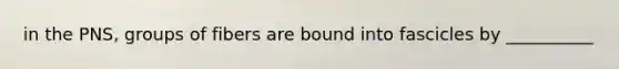 in the PNS, groups of fibers are bound into fascicles by __________