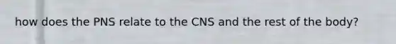 how does the PNS relate to the CNS and the rest of the body?