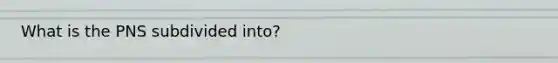 What is the PNS subdivided into?