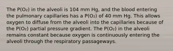 The P(O₂) in the alveoli is 104 mm Hg, and the blood entering the pulmonary capillaries has a P(O₂) of 40 mm Hg. This allows oxygen to diffuse from the alveoli into the capillaries because of the P(O₂) partial pressure gradient. The P(O₂) in the alveoli remains constant because oxygen is continuously entering the alveoli through the respiratory passageways.