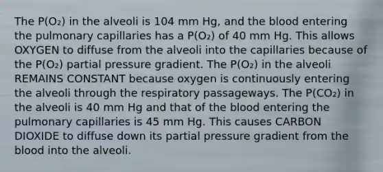 The P(O₂) in the alveoli is 104 mm Hg, and <a href='https://www.questionai.com/knowledge/k7oXMfj7lk-the-blood' class='anchor-knowledge'>the blood</a> entering the pulmonary capillaries has a P(O₂) of 40 mm Hg. This allows OXYGEN to diffuse from the alveoli into the capillaries because of the P(O₂) partial pressure gradient. The P(O₂) in the alveoli REMAINS CONSTANT because oxygen is continuously entering the alveoli through the respiratory passageways. The P(CO₂) in the alveoli is 40 mm Hg and that of the blood entering the pulmonary capillaries is 45 mm Hg. This causes CARBON DIOXIDE to diffuse down its partial pressure gradient from the blood into the alveoli.