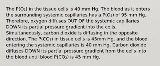 The P(O₂) in the tissue cells is 40 mm Hg. The blood as it enters the surrounding systemic capillaries has a P(O₂) of 95 mm Hg. Therefore, oxygen diffuses OUT OF the systemic capillaries DOWN its partial pressure gradient into the cells. Simultaneously, carbon dioxide is diffusing in the opposite direction. The P(CO₂) in tissue cells is 45mm Hg, and the blood entering the systemic capillaries is 40 mm Hg. Carbon dioxide diffuses DOWN its partial pressure gradient from the cells into the blood until blood P(CO₂) is 45 mm Hg.