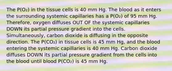 The P(O₂) in the tissue cells is 40 mm Hg. <a href='https://www.questionai.com/knowledge/k7oXMfj7lk-the-blood' class='anchor-knowledge'>the blood</a> as it enters the surrounding systemic capillaries has a P(O₂) of 95 mm Hg. Therefore, oxygen diffuses OUT OF the systemic capillaries DOWN its partial pressure gradient into the cells. Simultaneously, carbon dioxide is diffusing in the opposite direction. The P(CO₂) in tissue cells is 45 mm Hg, and the blood entering the systemic capillaries is 40 mm Hg. Carbon dioxide diffuses DOWN its partial pressure gradient from the cells into the blood until blood P(CO₂) is 45 mm Hg.