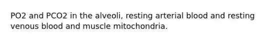 PO2 and PCO2 in the alveoli, resting arterial blood and resting venous blood and muscle mitochondria.