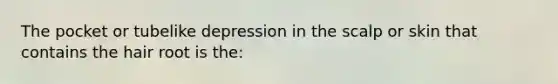 The pocket or tubelike depression in the scalp or skin that contains the hair root is the: