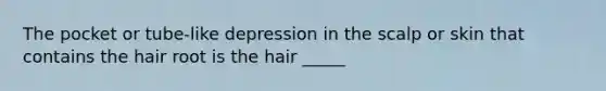 The pocket or tube-like depression in the scalp or skin that contains the hair root is the hair _____