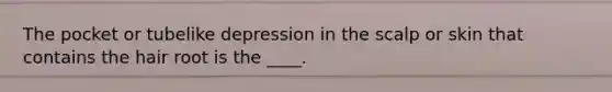 The pocket or tubelike depression in the scalp or skin that contains the hair root is the ____.