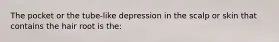 The pocket or the tube-like depression in the scalp or skin that contains the hair root is the: