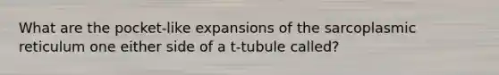 What are the pocket-like expansions of the sarcoplasmic reticulum one either side of a t-tubule called?