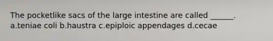 The pocketlike sacs of the <a href='https://www.questionai.com/knowledge/kGQjby07OK-large-intestine' class='anchor-knowledge'>large intestine</a> are called ______. a.teniae coli b.haustra c.epiploic appendages d.cecae