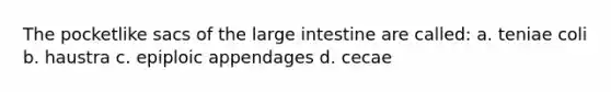 The pocketlike sacs of the <a href='https://www.questionai.com/knowledge/kGQjby07OK-large-intestine' class='anchor-knowledge'>large intestine</a> are called: a. teniae coli b. haustra c. epiploic appendages d. cecae