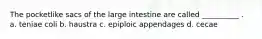 The pocketlike sacs of the large intestine are called __________ . a. teniae coli b. haustra c. epiploic appendages d. cecae