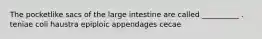 The pocketlike sacs of the large intestine are called __________ . teniae coli haustra epiploic appendages cecae