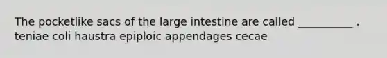 The pocketlike sacs of the large intestine are called __________ . teniae coli haustra epiploic appendages cecae