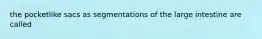 the pocketlike sacs as segmentations of the large intestine are called
