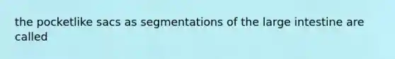 the pocketlike sacs as segmentations of the <a href='https://www.questionai.com/knowledge/kGQjby07OK-large-intestine' class='anchor-knowledge'>large intestine</a> are called