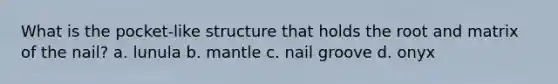 What is the pocket-like structure that holds the root and matrix of the nail? a. lunula b. mantle c. nail groove d. onyx