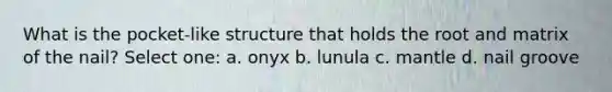 What is the pocket-like structure that holds the root and matrix of the nail? Select one: a. onyx b. lunula c. mantle d. nail groove