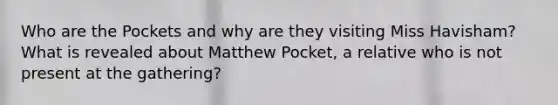 Who are the Pockets and why are they visiting Miss Havisham? What is revealed about Matthew Pocket, a relative who is not present at the gathering?