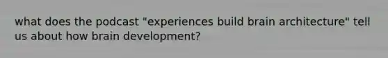 what does the podcast "experiences build brain architecture" tell us about how brain development?