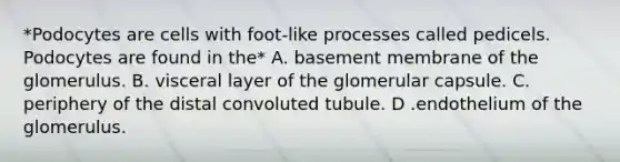 *Podocytes are cells with foot-like processes called pedicels. Podocytes are found in the* A. basement membrane of the glomerulus. B. visceral layer of the glomerular capsule. C. periphery of the distal convoluted tubule. D .endothelium of the glomerulus.